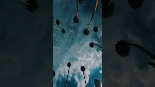 #naturelovers #shortvideo #viralshorts #trending