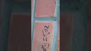 вызов джина желаний он не пришёл