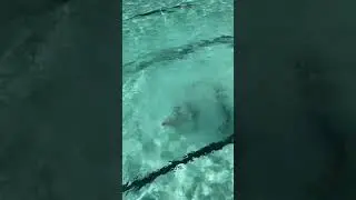 Pool Fun 