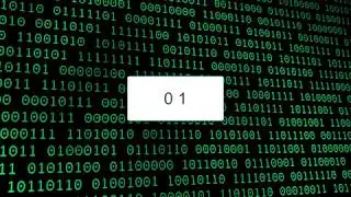 Binary and Number Representation(BIN, OCT, DEC, HEX)