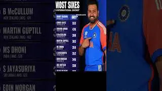 Most Sixes In International Cricket 