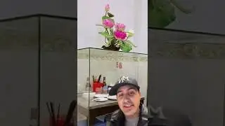 Famous Meal Between Anthony Bourdain and Barack Obama