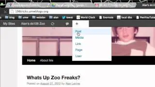 Uploading Animated GIFs to Wordpress