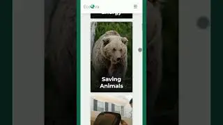 Responsive Save Environment Website | #shorts