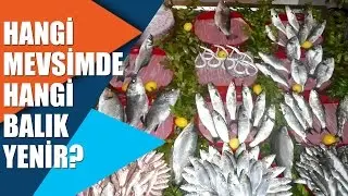 Hangi Mevsimde Hangi Balık Yenir?
