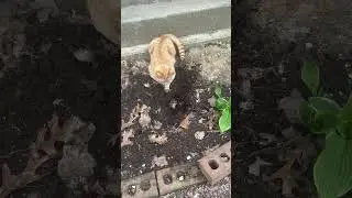 ТГ: layla_winx #гипнокоуч #гипнолог #гипнотерапия #гипнологонлайн #гипноз #транс #гипнозонлайн