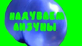 НАДУЛИ ЖОПУ ИЗ ЛИЗУНА