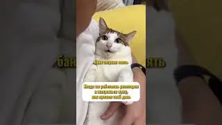 Когда работаешь риелтором. #анапа