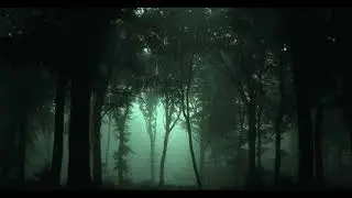 Lost in the middle of the forest (Play list)