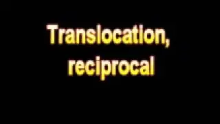 What Is The Definition Of Translocation, reciprocal