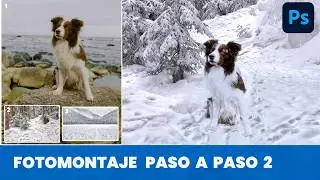 ✏️ Fotomontaje en Photoshop de un Perro | Explicado Paso a Paso  2024🐶