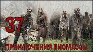 Приключения биомассы. Выпуск 37