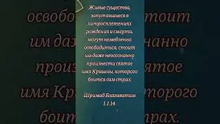Чтение Шримад Бхагаватам создаёт счастливую судьбу и приносит благословение. Цитата ШБ 1.1.14.