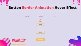 BUTTON BORDER ANIMATION HOVER EFFECT USING CSS || WITH RGB COLORS ||