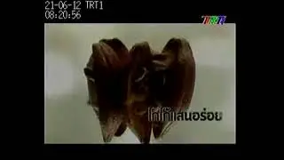 TRT1 Huế - Phát nhầm quảng cáo của Thái Lan (21/06/2012)