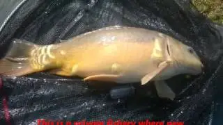 barnacre fishing trip  saughall massey birkenhead.