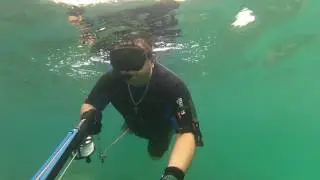 Подводная Охота в ОАЭ Оманский Залив