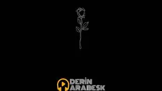Sen Gidersen Ben De Çok Kalmam.🚬 #derinarabesk #semicenk #gidiyorum #Gülbeşeker