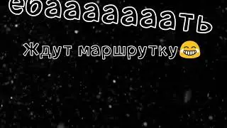 Приключения бибы и бобы