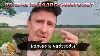 3006 / Поле НЕ ПАХАЛОСЬ МНОГО ЛЕТ / Большие надежды!