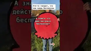 действительно, зачем она? #тафтинг #юмор
