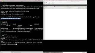 docker selenium firefox 40 no more popup for Reader View