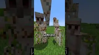 🐢 Don’t make sence #minecraft