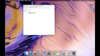 The Bool Command in Python
