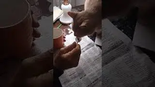 Британчик Рыжичек ужинает