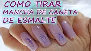 COMO TIRAR MANCHA DE CANETA DE ESMALTE | VEDA #11 | Elizabeth Cordeiro
