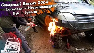 Сосновая - Новосадовый - Дуб - Брёвна. Экспедиция 