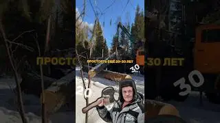 НЕ СТРОЙТЕ СРУБ ИЗ ТАКОГО ЛЕСА!