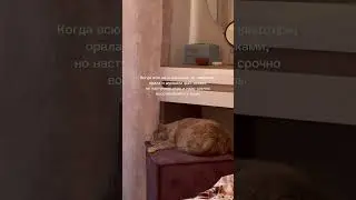 Ночной образ жизни #рекомендации #калининград #grwm #обзор