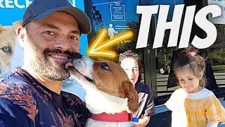 The MAIN Reason Why Rescuing An Animal Is The Best Thing You Can Do