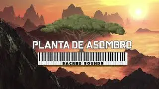 ☀️ On a Dubby Morning! | Reggae Dub Instrumental Mix by Planta de Asombro