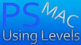 How to use Levels in Adobe Photoshop