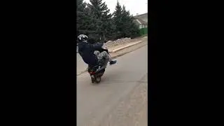 FZM Stunt team