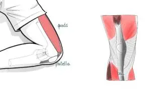 Important structures of extension