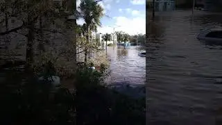 The flood Covered the Cars... Milton was Catastrophic (Hurricane Milton)