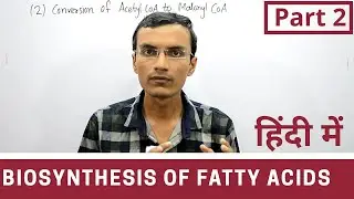 Fatty acid synthesis in Hindi | Part 2