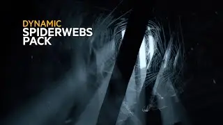 CG Store. Dynamic Spiderwebs pack