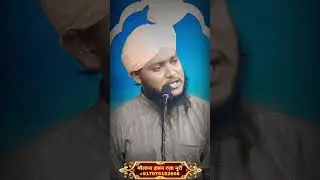 अगर इंसान सुकून में न हो तो #shorts #motivation #bayan #maulanahasanrazanoori