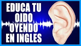 USADO EN NETINGLES
