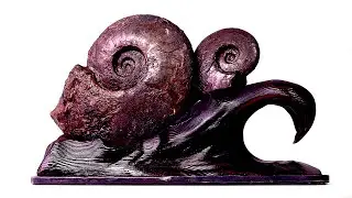 Holding History | Dual Ammonite Fossil Display