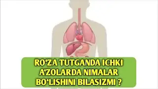 Рӯза тутганда ички аъзоларда нималар бӯлишини биласизми ?