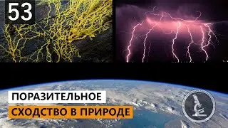 ТЫ НЕ ПОВЕРИШЬ ПОКА НЕ УВИДИШЬ. ПОРАЗИТЕЛЬНО. ВСЕЛЕННАЯ ВОКРУГ И ВНУТРИ НАС