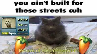 Return of the MeowSynth -MartianCat (my old music name)