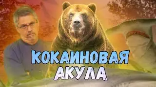 Кokaиновая акула (2023) - ТРЕШ-ОБЗОР