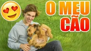 UM DIA COM O MEU CÃO