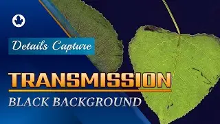 Details Capture | Transmission Map Capture | Photometric Stereo